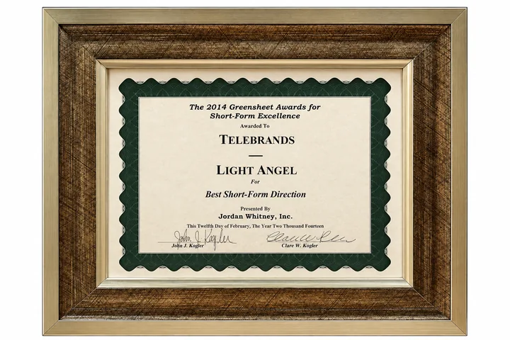 2014 Light Angel award certificate